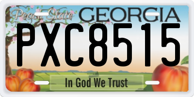 GA license plate PXC8515