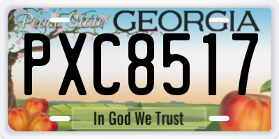 GA license plate PXC8517
