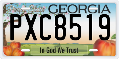GA license plate PXC8519