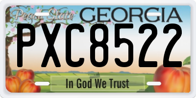 GA license plate PXC8522