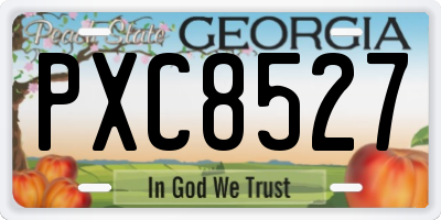 GA license plate PXC8527