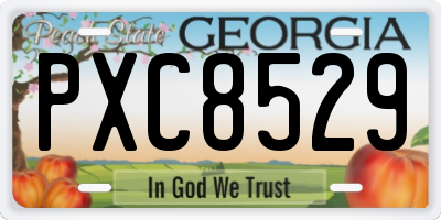 GA license plate PXC8529