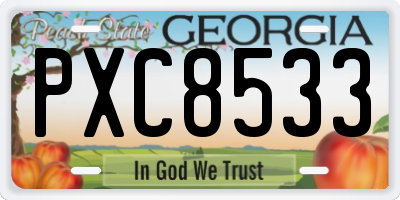GA license plate PXC8533