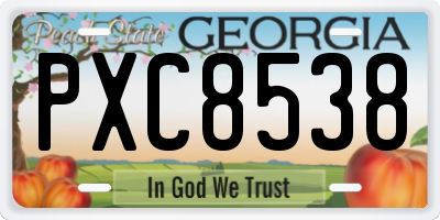 GA license plate PXC8538
