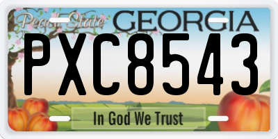 GA license plate PXC8543