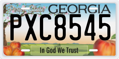 GA license plate PXC8545