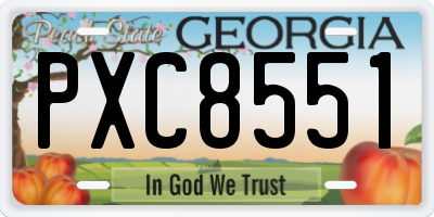 GA license plate PXC8551
