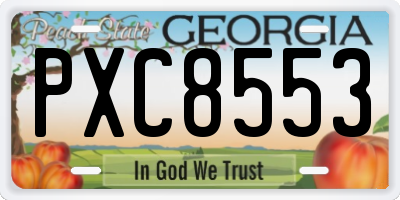 GA license plate PXC8553
