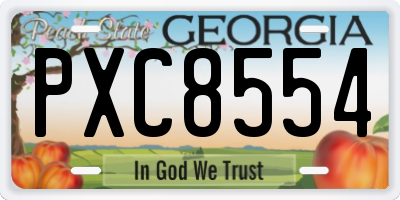 GA license plate PXC8554