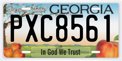 GA license plate PXC8561
