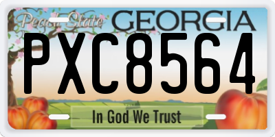 GA license plate PXC8564