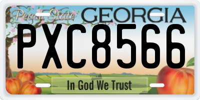 GA license plate PXC8566