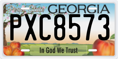 GA license plate PXC8573