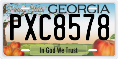 GA license plate PXC8578