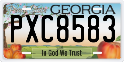 GA license plate PXC8583