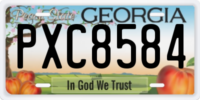 GA license plate PXC8584