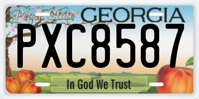 GA license plate PXC8587