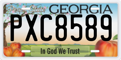 GA license plate PXC8589