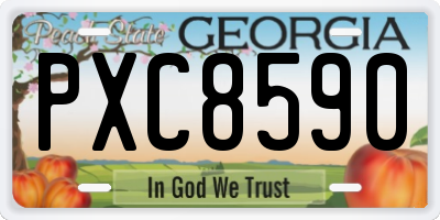 GA license plate PXC8590