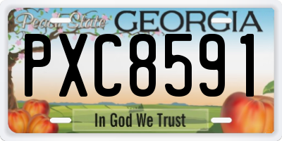GA license plate PXC8591
