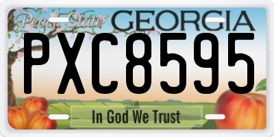 GA license plate PXC8595