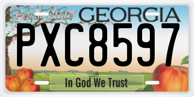 GA license plate PXC8597
