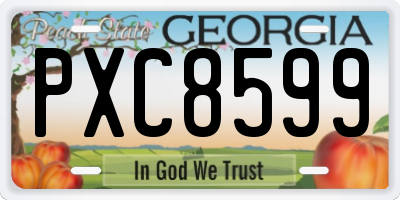 GA license plate PXC8599