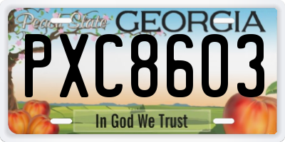GA license plate PXC8603