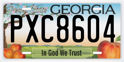 GA license plate PXC8604