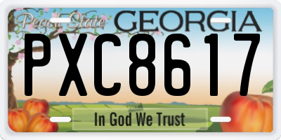GA license plate PXC8617