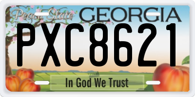 GA license plate PXC8621