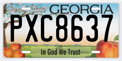 GA license plate PXC8637