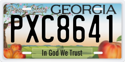 GA license plate PXC8641