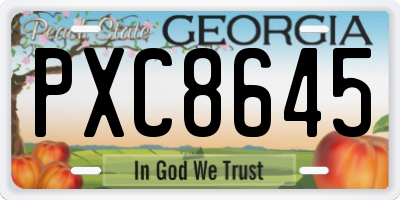 GA license plate PXC8645