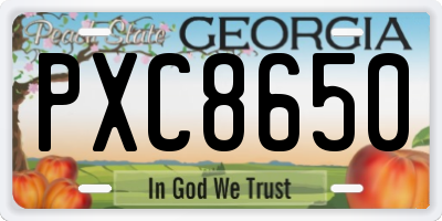 GA license plate PXC8650