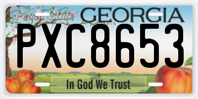 GA license plate PXC8653