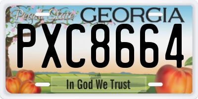 GA license plate PXC8664