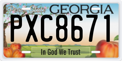 GA license plate PXC8671