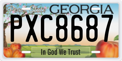 GA license plate PXC8687