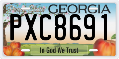 GA license plate PXC8691