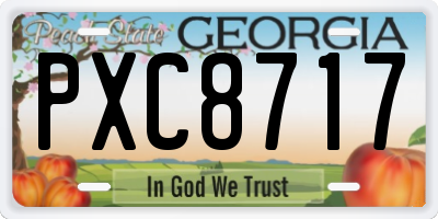 GA license plate PXC8717