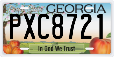 GA license plate PXC8721