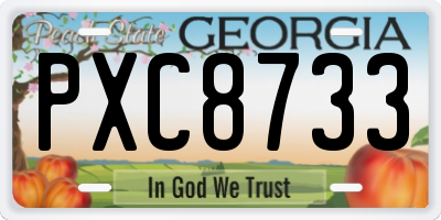 GA license plate PXC8733