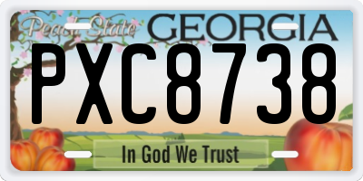 GA license plate PXC8738
