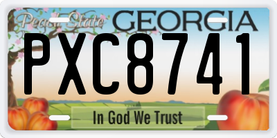 GA license plate PXC8741