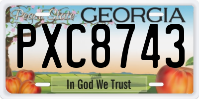 GA license plate PXC8743