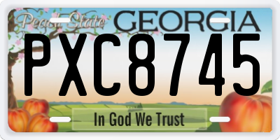 GA license plate PXC8745