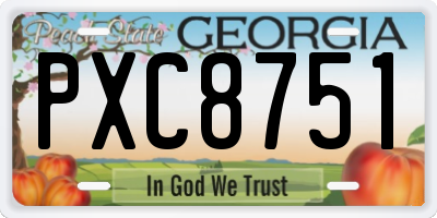 GA license plate PXC8751