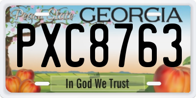 GA license plate PXC8763