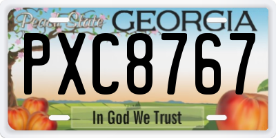 GA license plate PXC8767